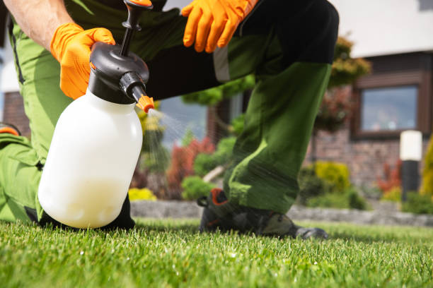 Best Pest Removal Services  in White Oak, TX