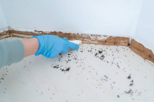 Pest Control Cost in White Oak, TX